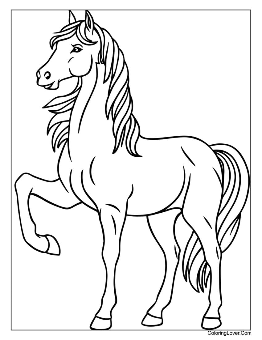 Andalusian Horse Coloring Page