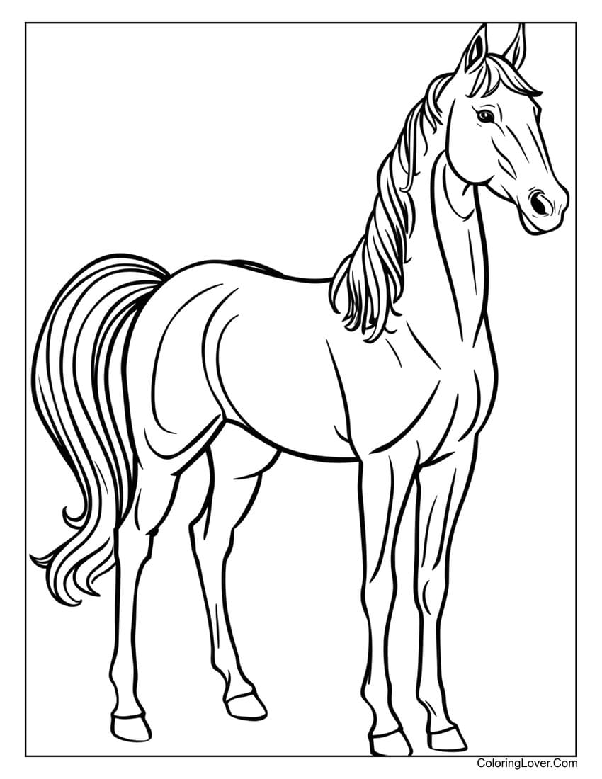 Arabian Horse Coloring Page