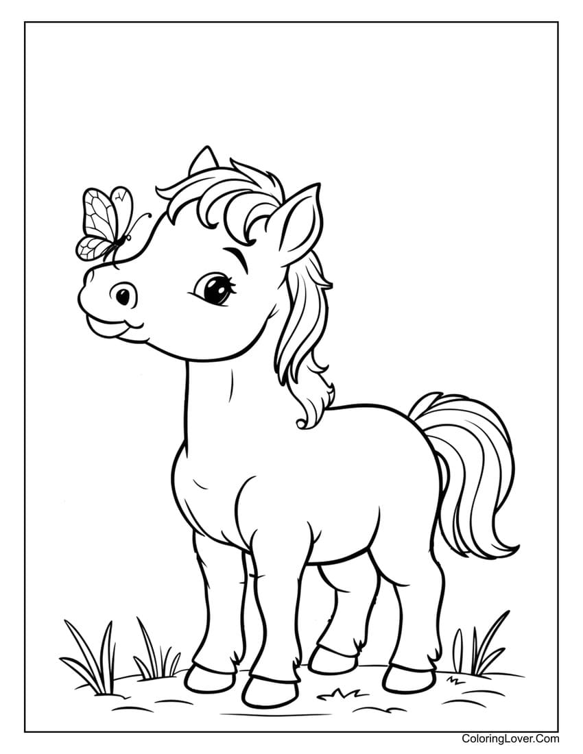 Baby horse with a butterfly on its nose coloring page
