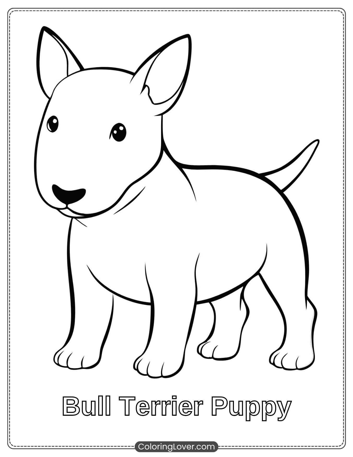 Bull Terrier puppy coloring page