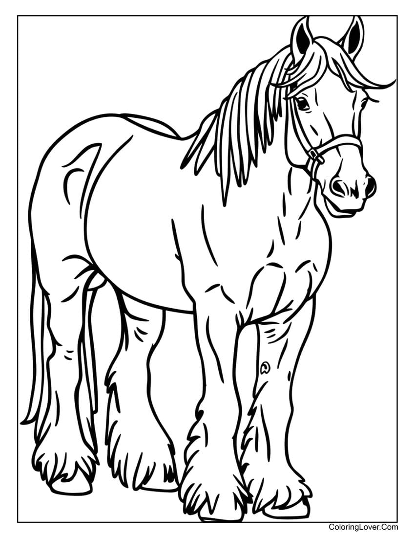 Clydesdale Horse Coloring Page