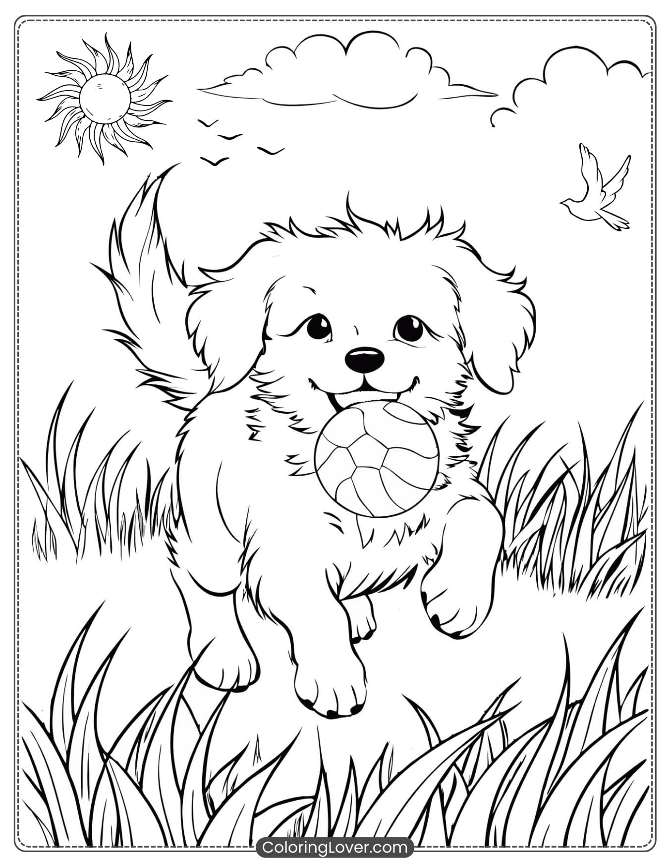 Fluffy puppy running with a ball in the grass