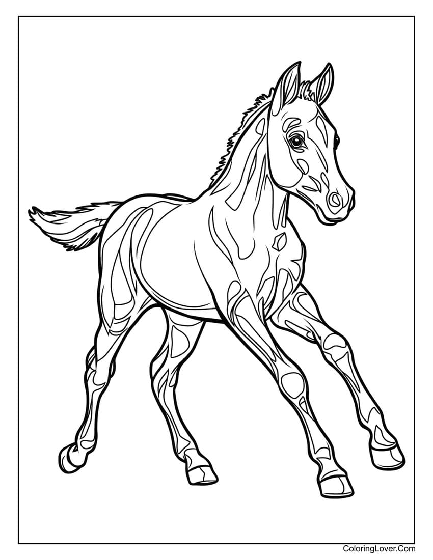 Galloping young horse