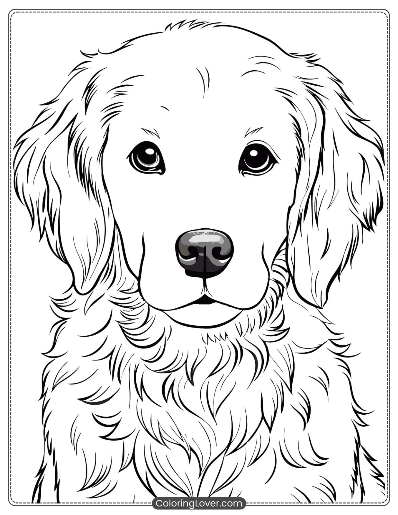 Golden Retriever puppy portrait coloring page