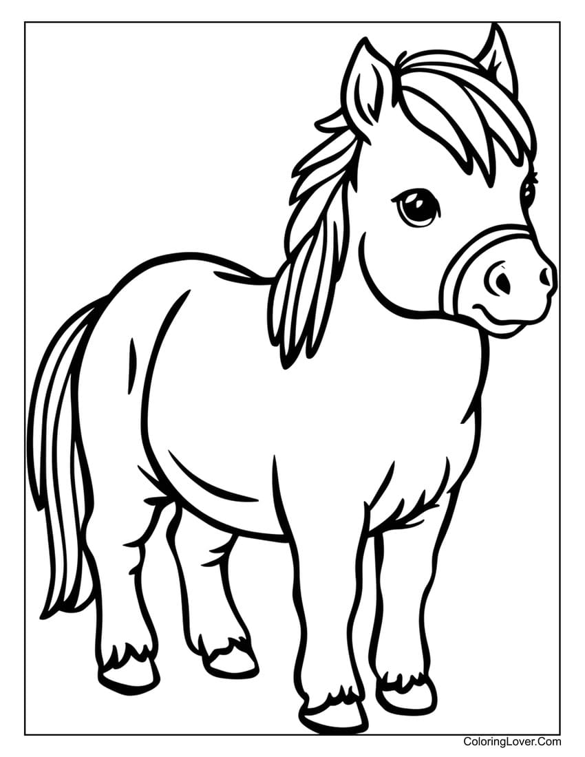 Shetland Pony Coloring Page