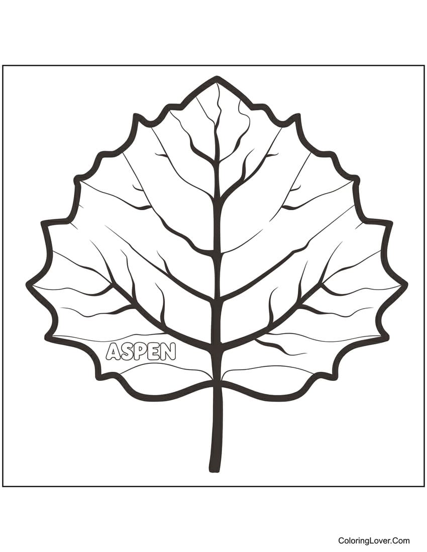 Aspen tree leaf coloring page with bold outlines