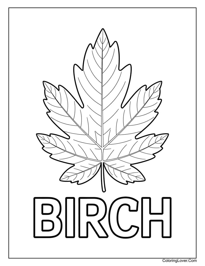 Birch tree leaf coloring page for young artists