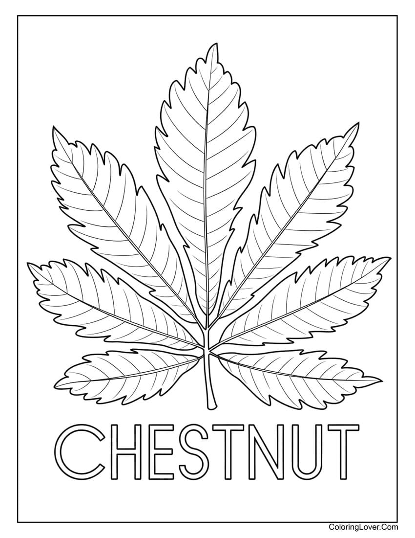 Chestnut tree leaf coloring page for kids