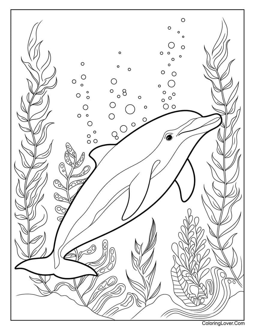 Dolphin swimming among seaweed coloring page for kids