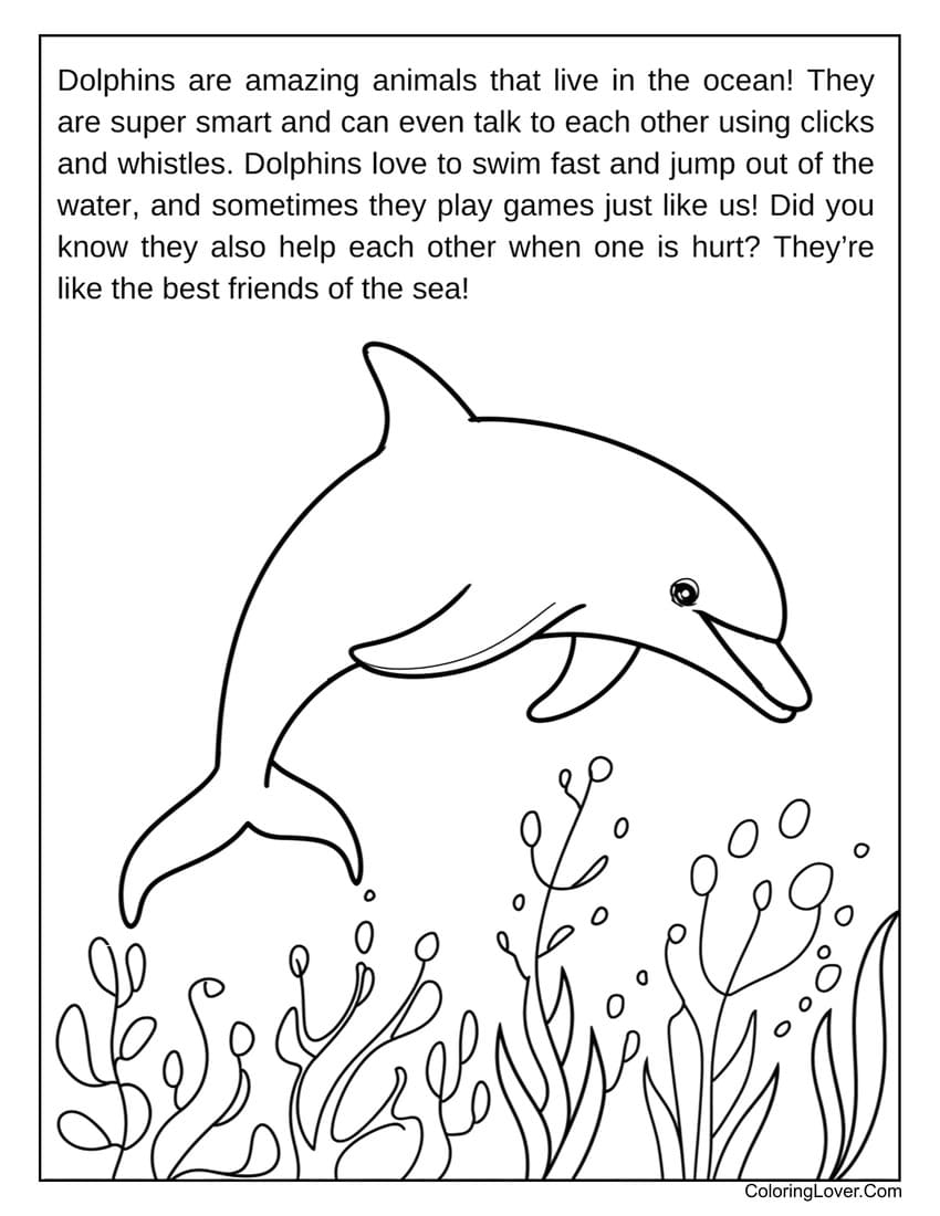 Dolphin swimming with underwater plants coloring page