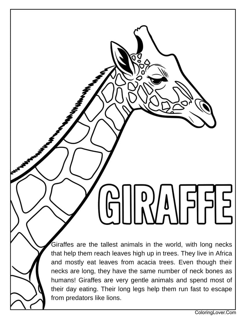 Educational giraffe facts coloring page for kids