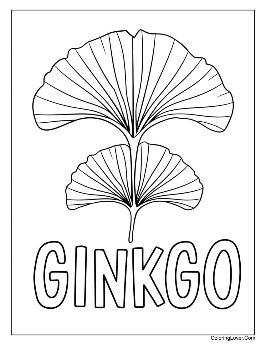 Ginkgo tree leaf easy coloring sheet
