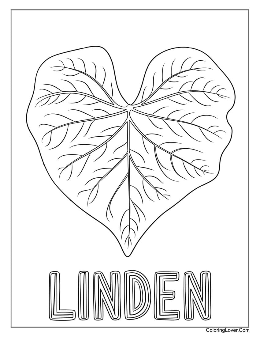 Heart-shaped linden leaf coloring page for kids
