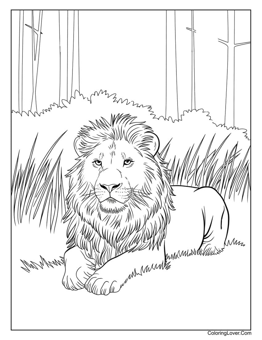 Lion resting in forest coloring page