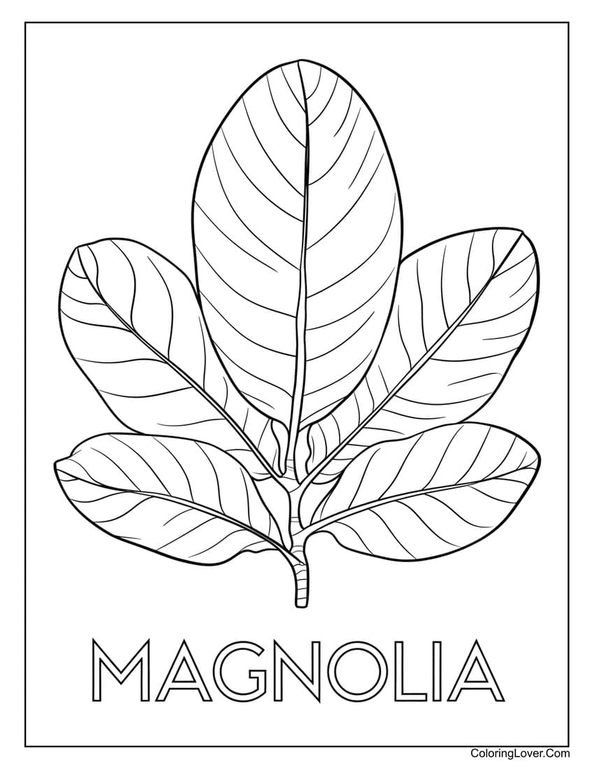 Magnolia leaf coloring page with bold lines