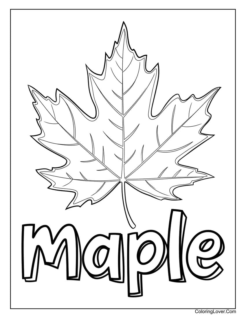 Maple leaf simple drawing coloring sheet