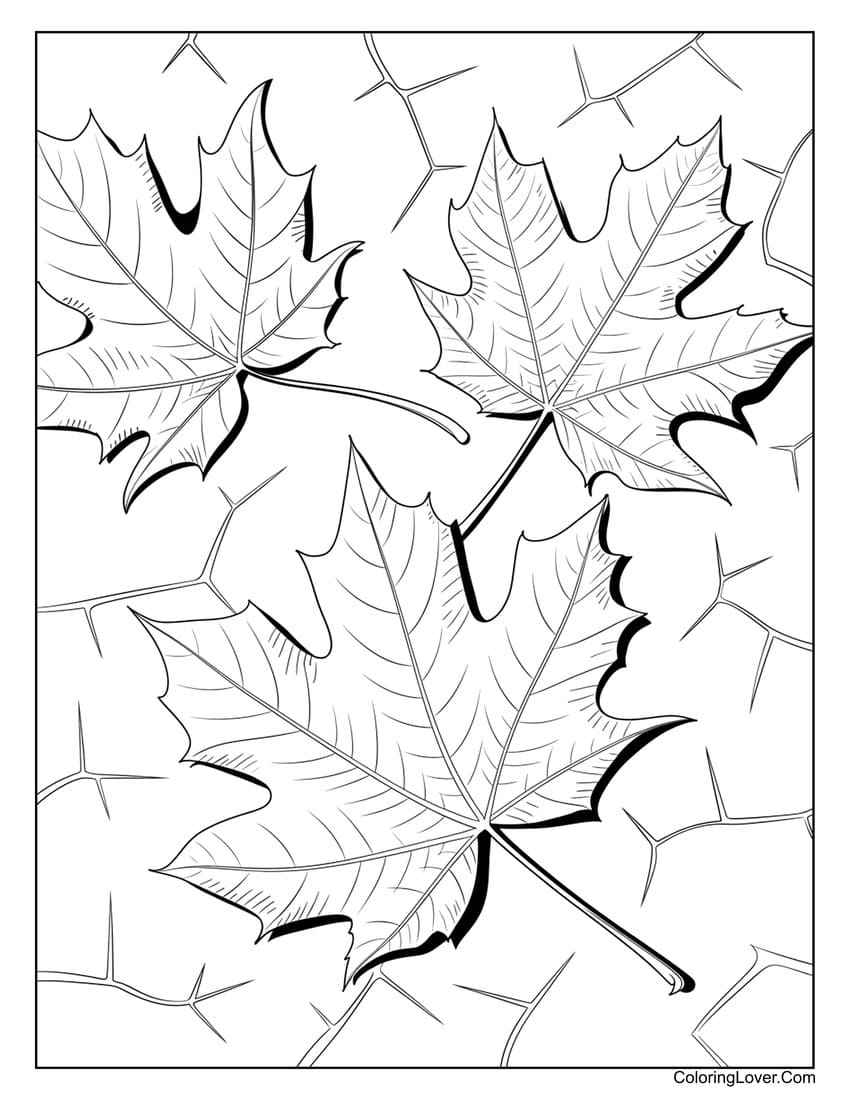 Maple leaves falling coloring page