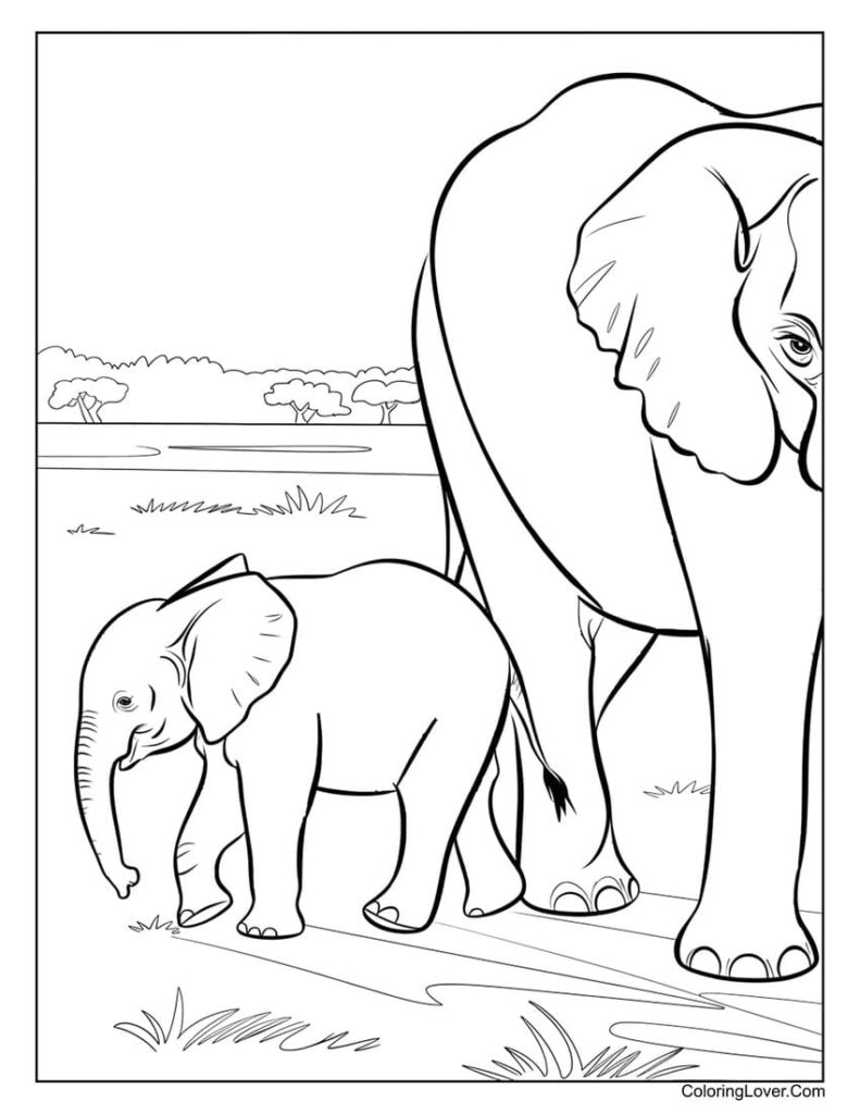 42 Elephant Coloring Pages (Free Printables for All Ages)