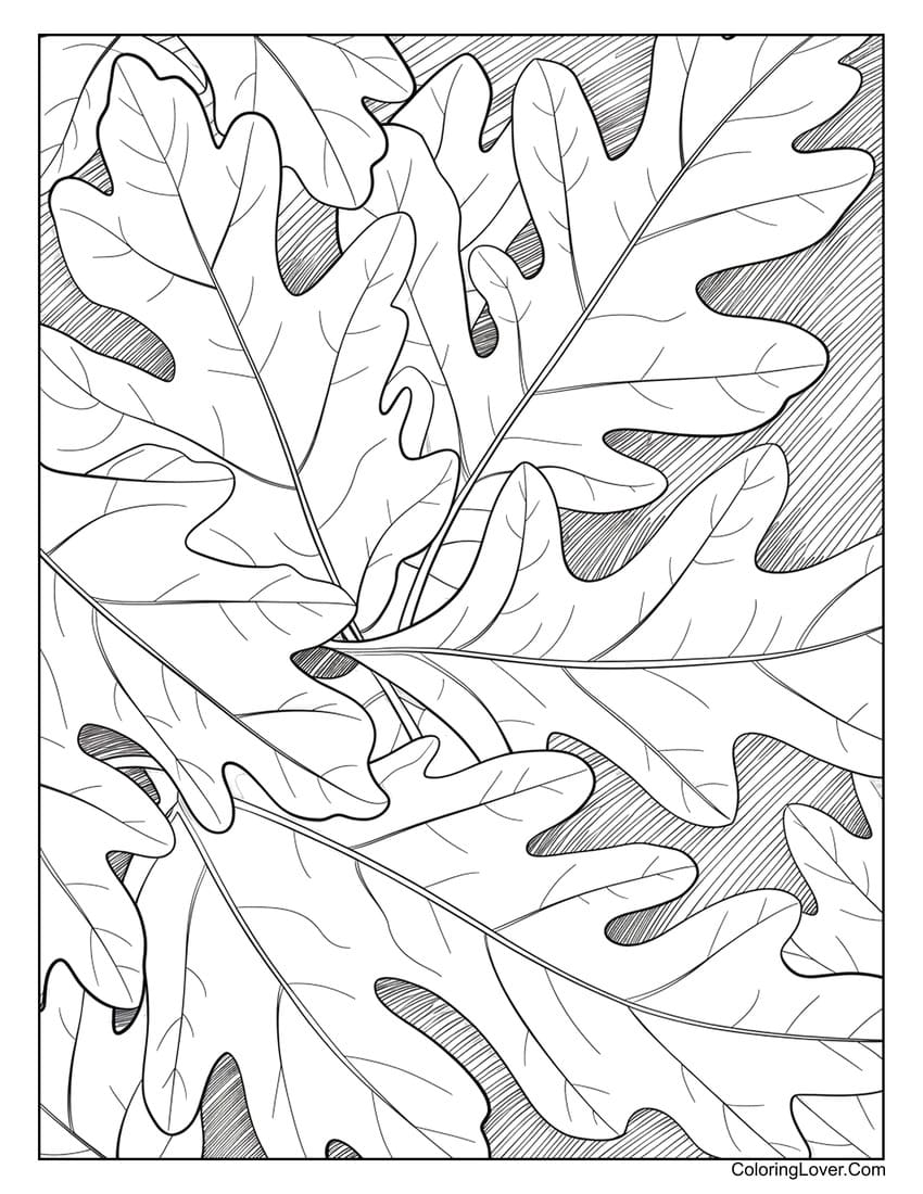 Oak leaves autumn coloring page