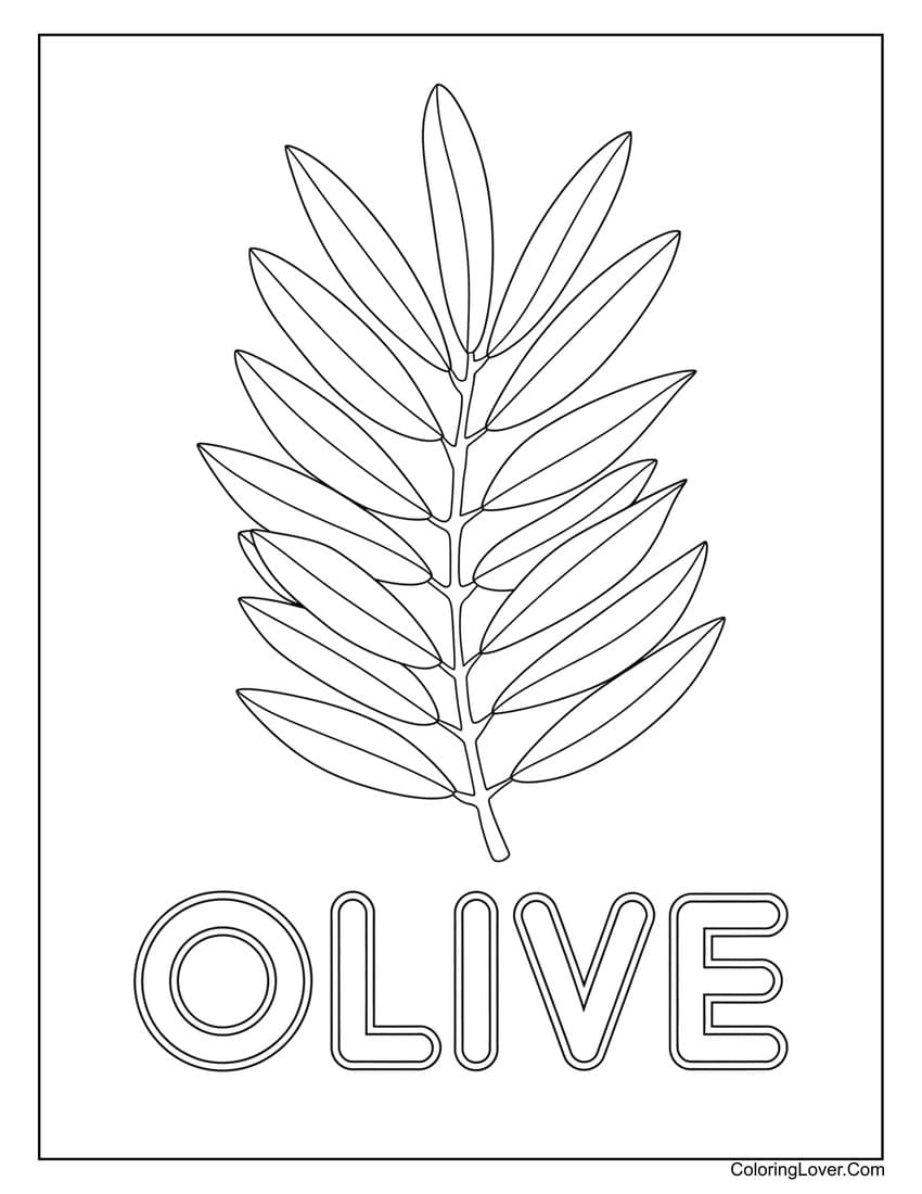 Olive tree leaf coloring page with simple design