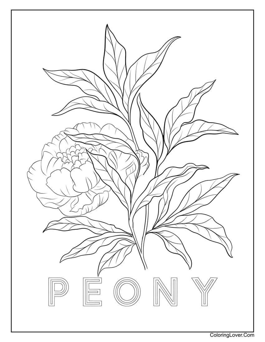 Peony flower coloring page with textured leaves