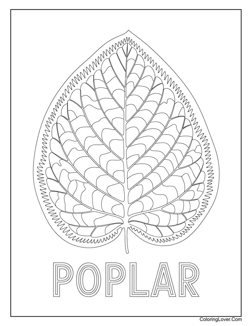 Poplar tree leaf coloring sheet with intricate patterns