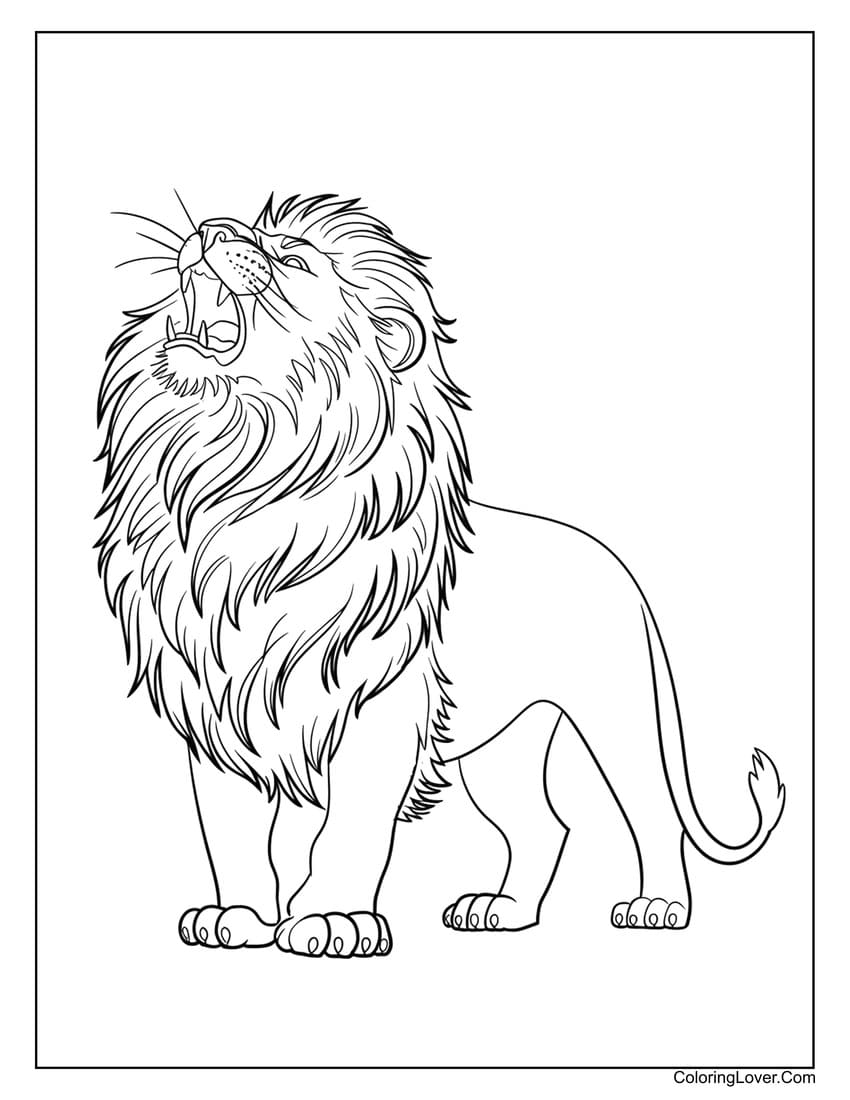 Roaring lion with mane coloring page