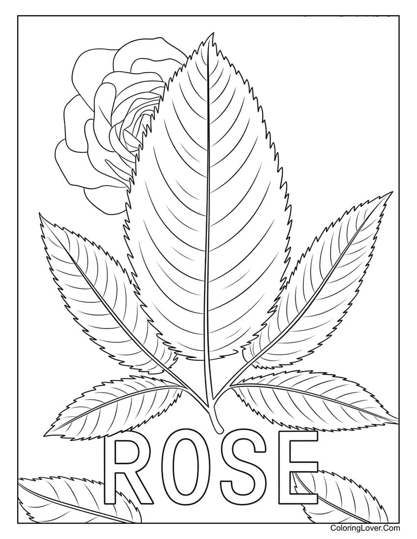 Rose leaf coloring page with detailed veins