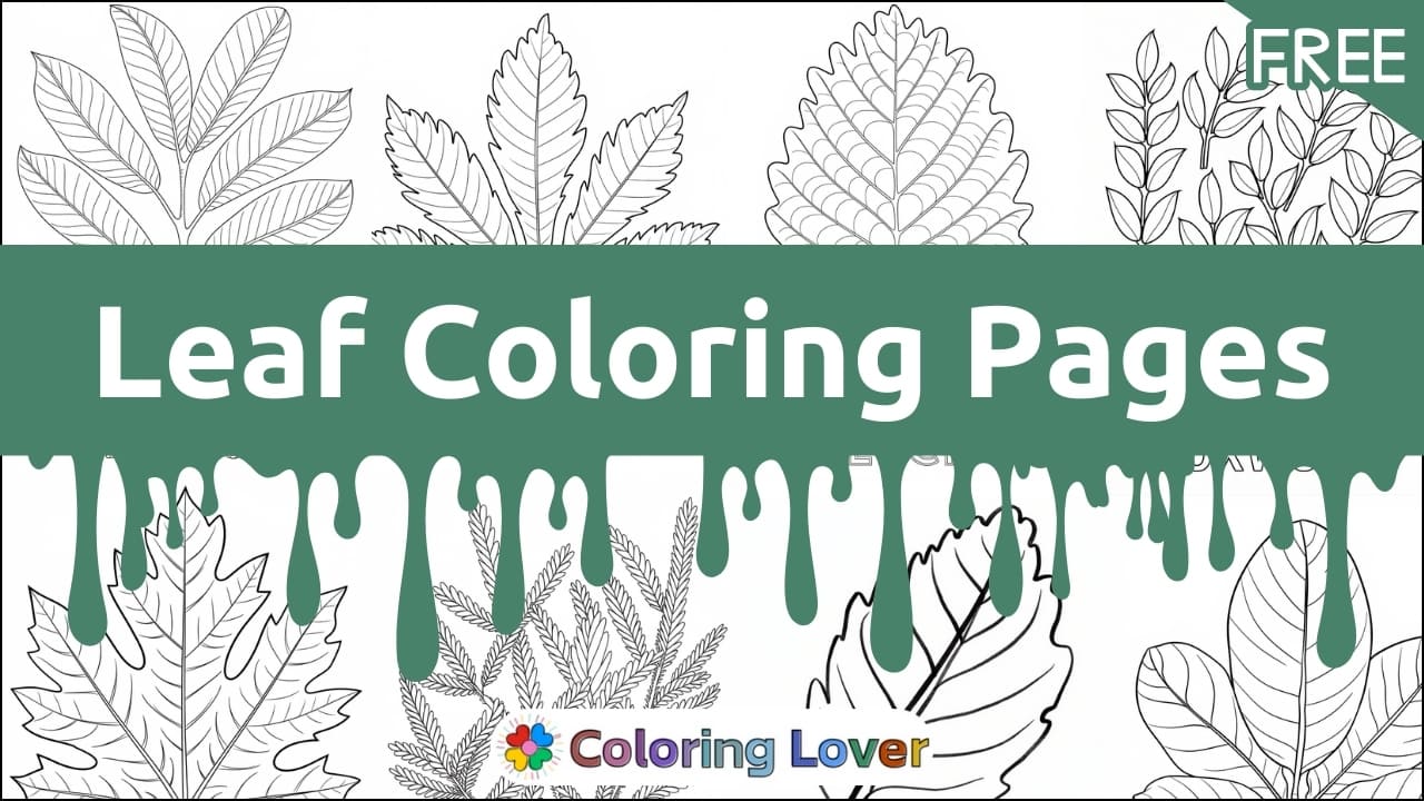 Leaf Coloring Pages: Free Printables for All Ages