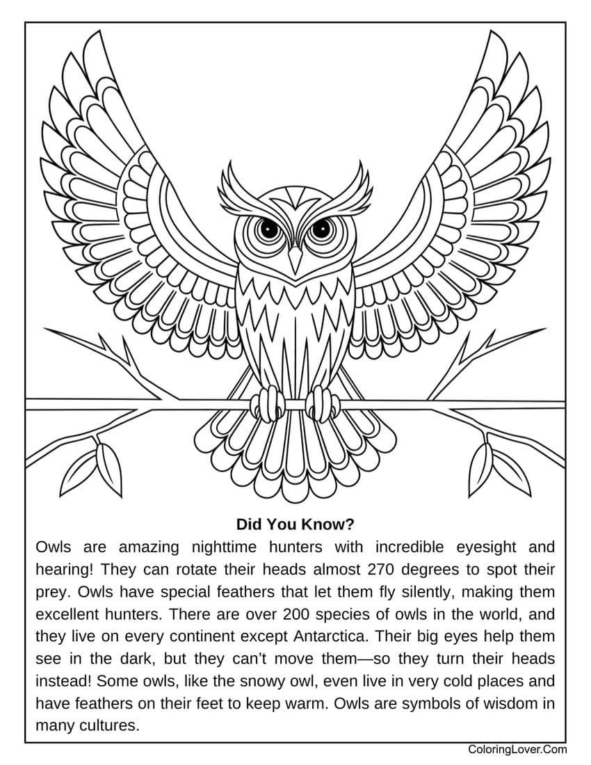 Easy flying owl coloring page