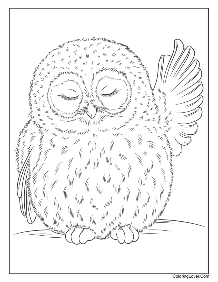Fluffy baby owl waving coloring page