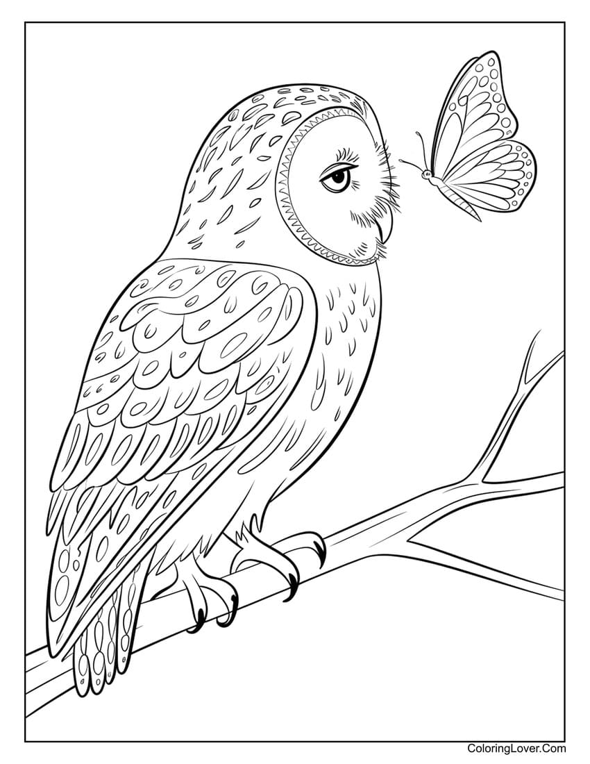 Owl and butterfly coloring page for kids