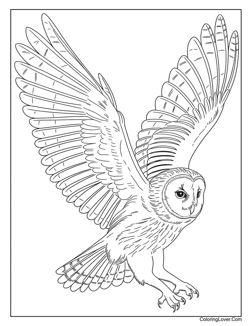 Realistic flying owl coloring page