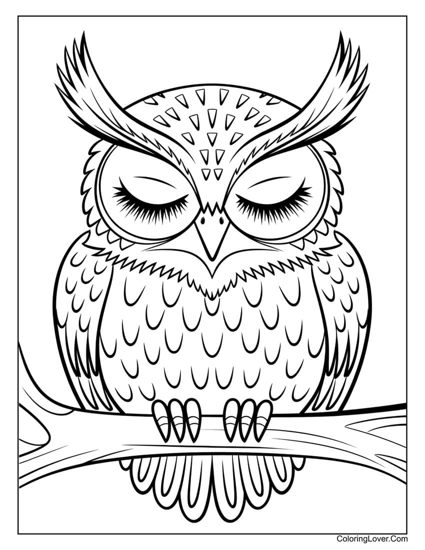 Sleeping owl on branch coloring page
