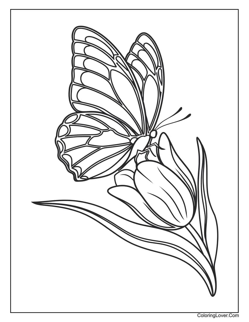 Butterfly on tulip flower coloring page