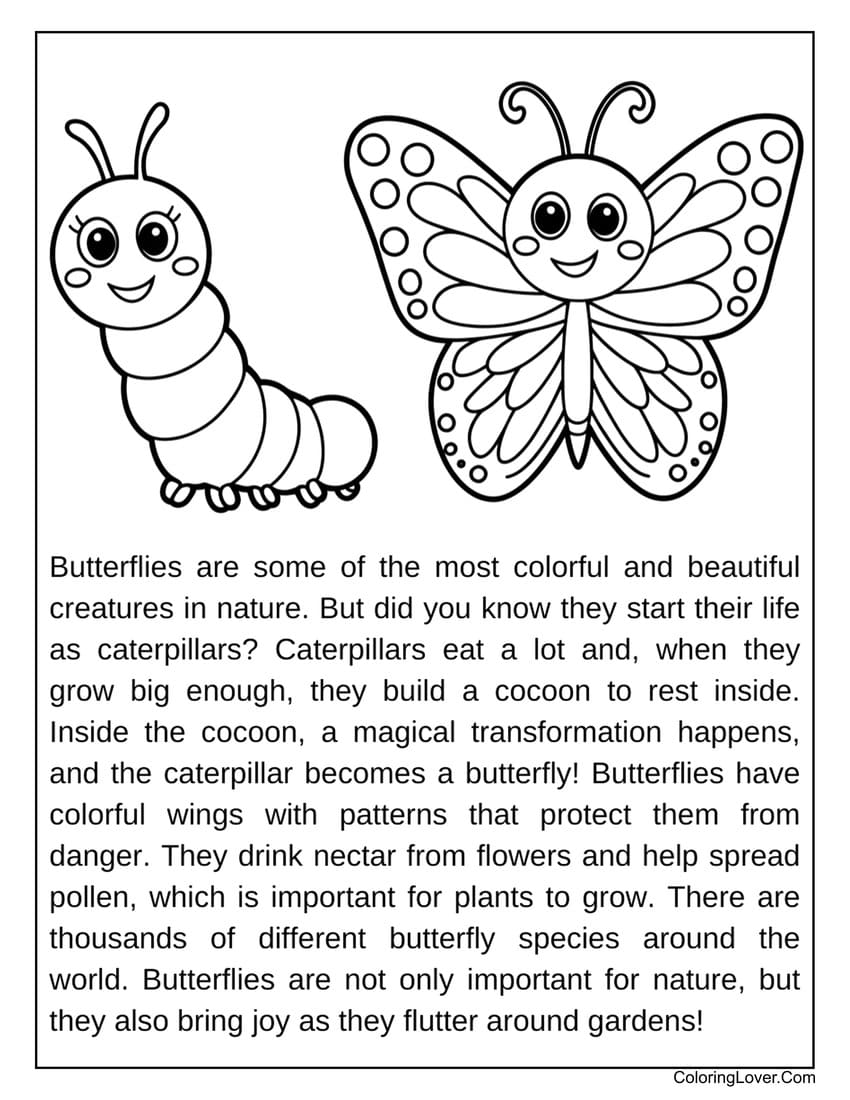 Cute butterfly and caterpillar educational coloring page
