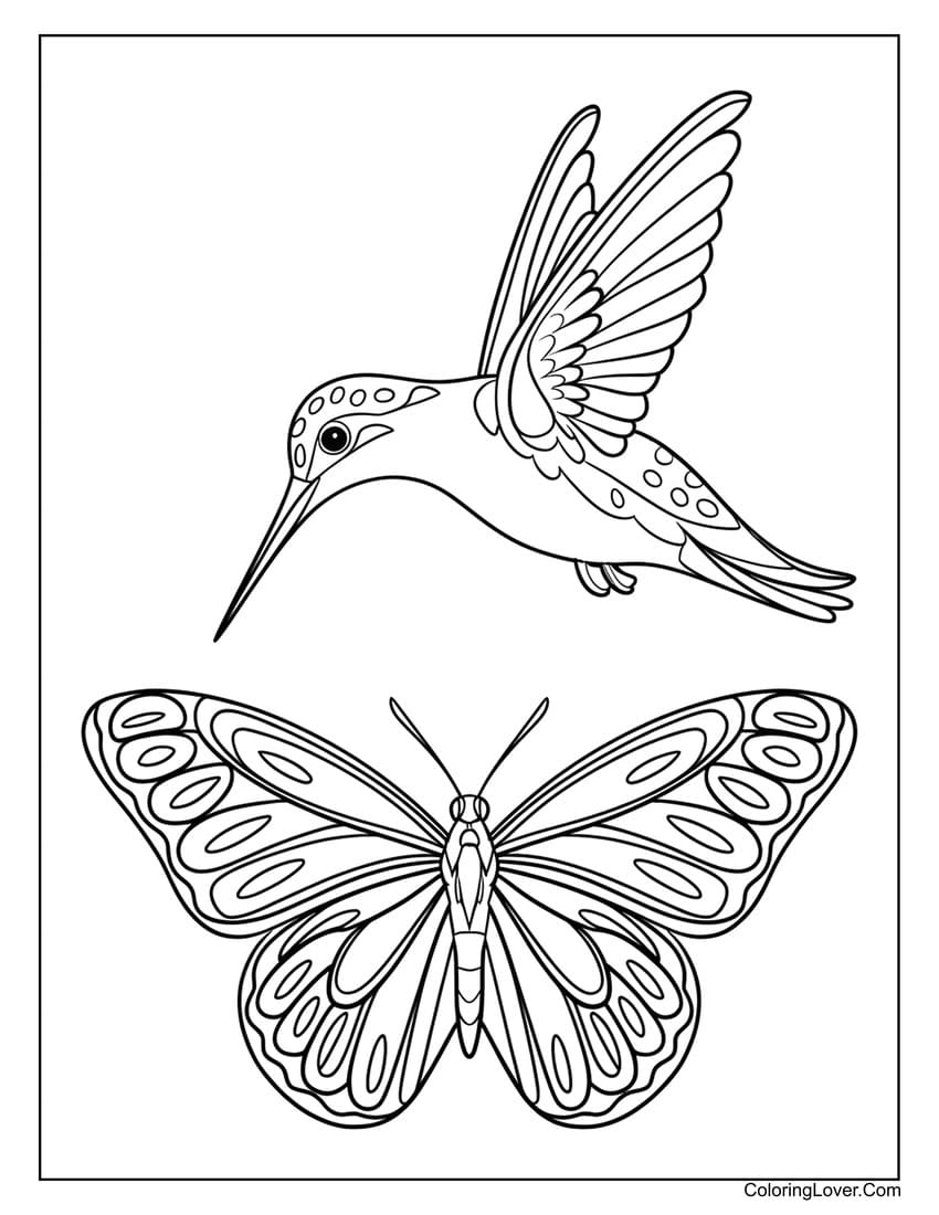 Hummingbird and butterfly nature scene coloring page