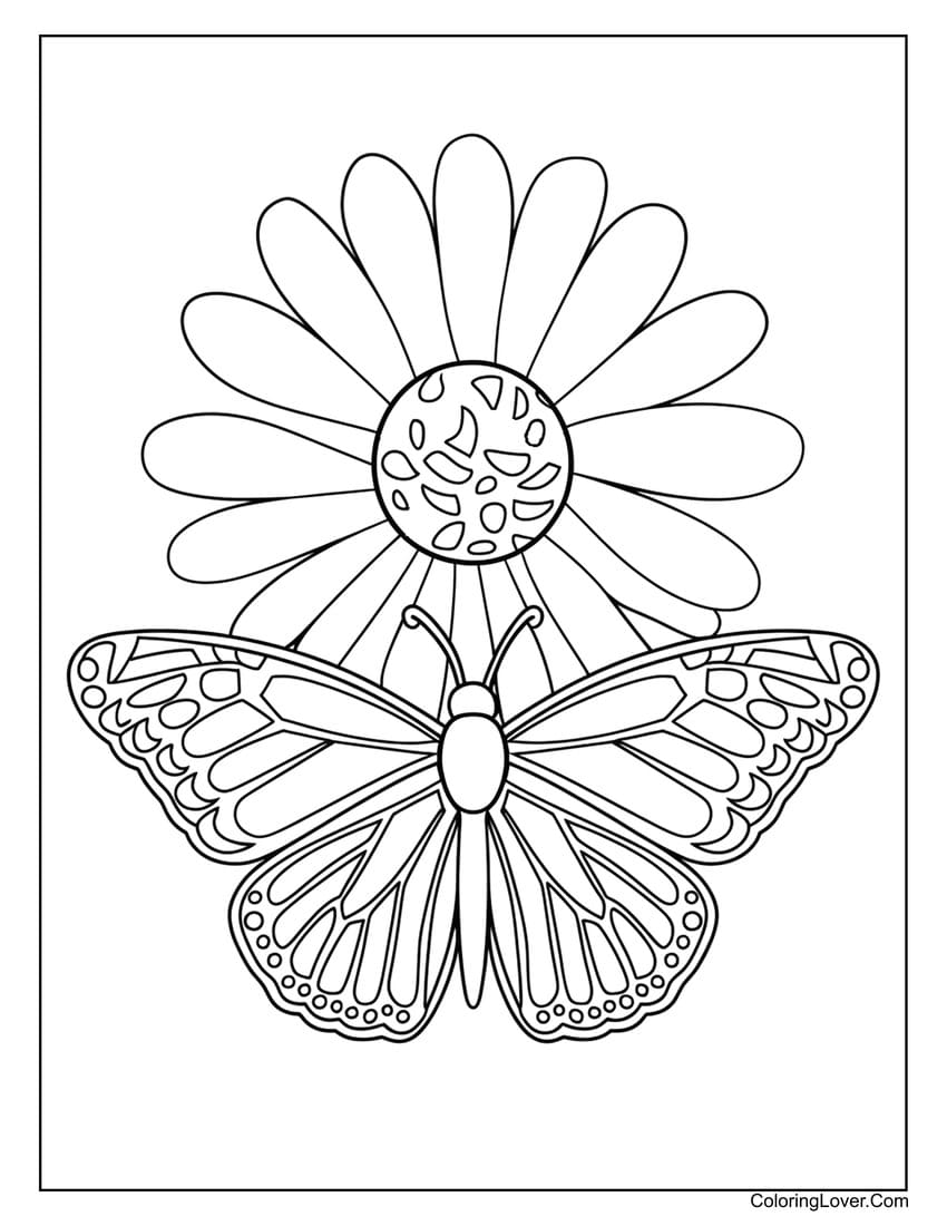 Butterfly with daisy flower coloring page