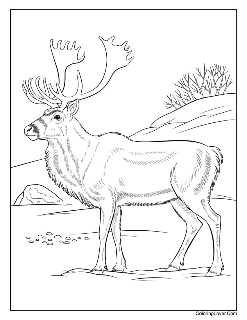 Realistic reindeer in snowy landscape coloring page
