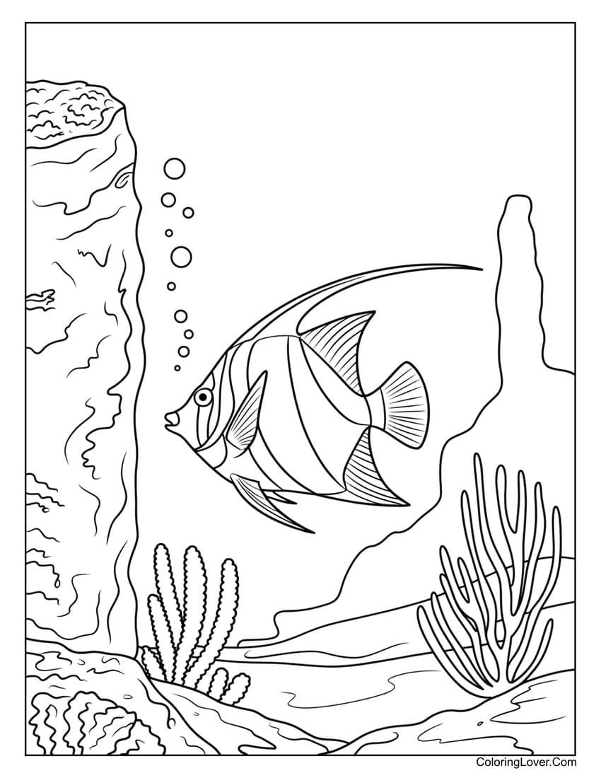 Angelfish near rocky reef coloring page