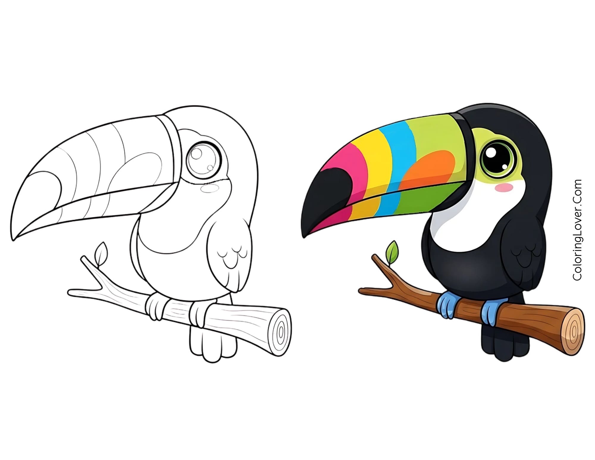Coloring page of easy kawaii toucan bird sitting on a tree branch